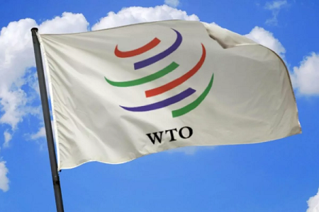 Правила ВТО позволяют вводить ограничения в случае пандемии